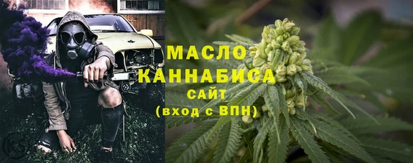 индика Кинешма
