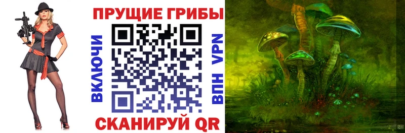Галлюциногенные грибы прущие грибы  Фатеж 